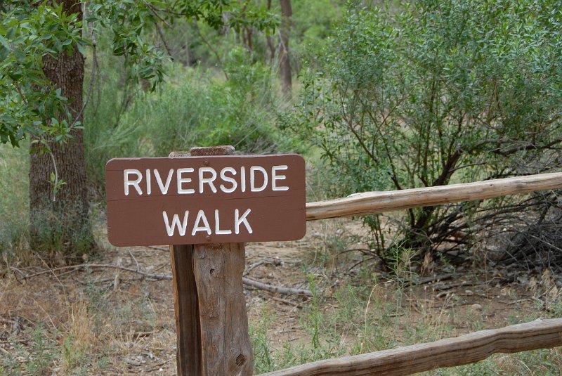 2011-07-13_Zion Canyon-Tag18_035.jpg